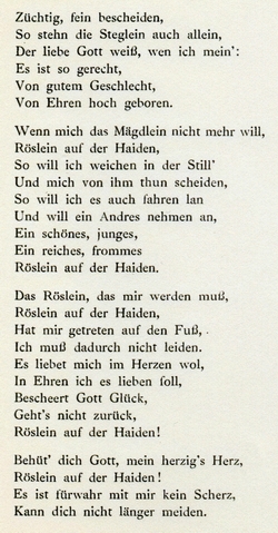 19v-Heidenrslein