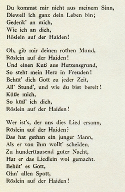 19x-Heidenrslein