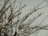 IMG_1043