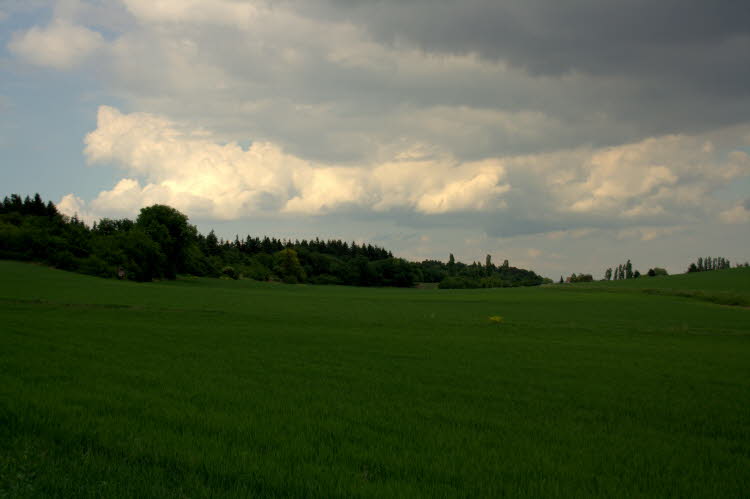 IMG_7781