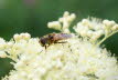IMG_8512 (2)