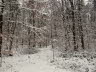 IMG_8951