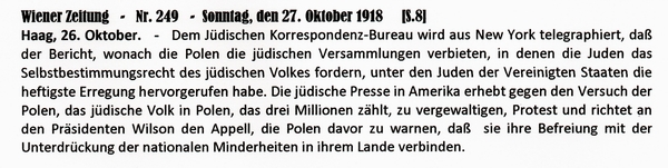 1918-10-27-USA-Japan-Ruland-Wiener Zeitung-01