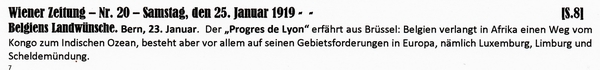 1919-01-25-dFriko-Belgiens Wnsche-WZ