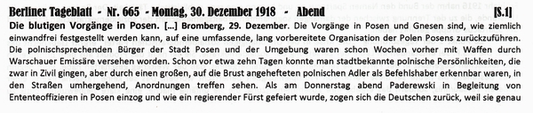1918-12-30-05-Chaos in Posen-02-BTB