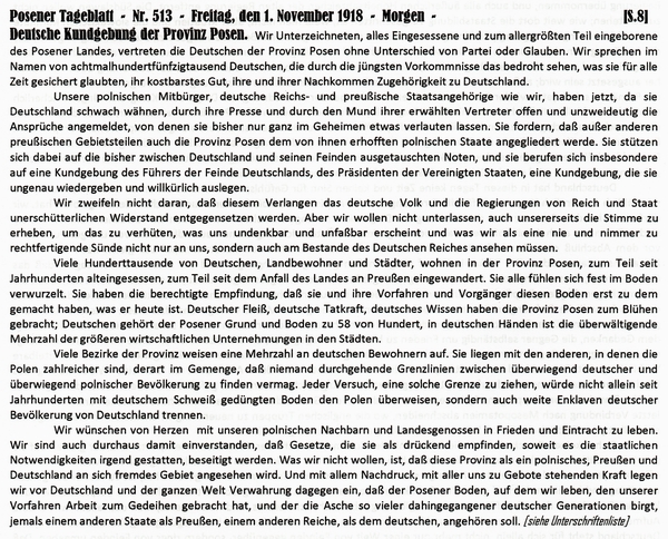 1918-11-01-05-03-Kundgebung Posen-POS