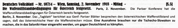 1918-11-02-01-sterreichs Bedingungen-DVB