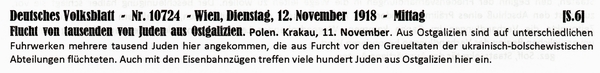 1918-11-12-19-Judenflucht aus Ostgalizien-DVB